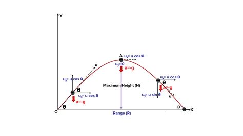 Projectile Acceleration and Velocity