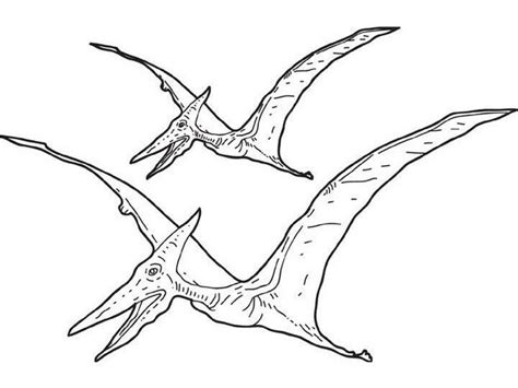 Pterosaur coloring page