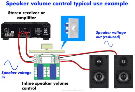 Public speaking volume control techniques