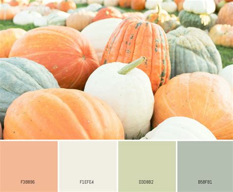 Pumpkin Color Palettes 7