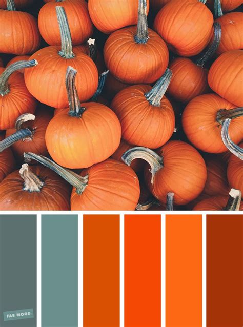 Pumpkin Color Palettes 3