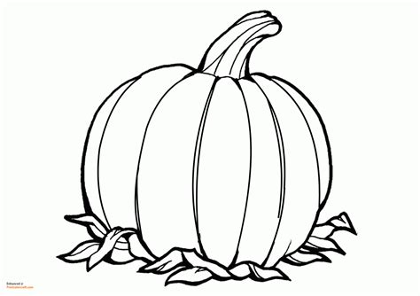 Pumpkin coloring pages for autumn