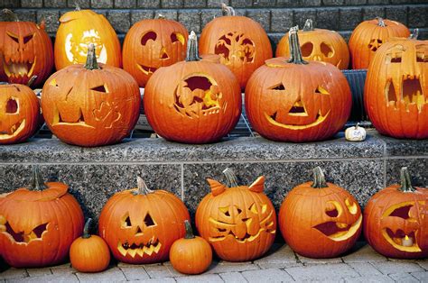 Pumpkins and jack-o'-lanterns for Halloween coloring pages