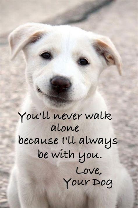 Puppy Love Quotes