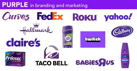 Purple and Green Branding Inspiration