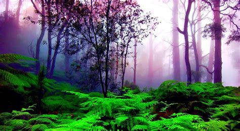 Purple and Green Nature Example