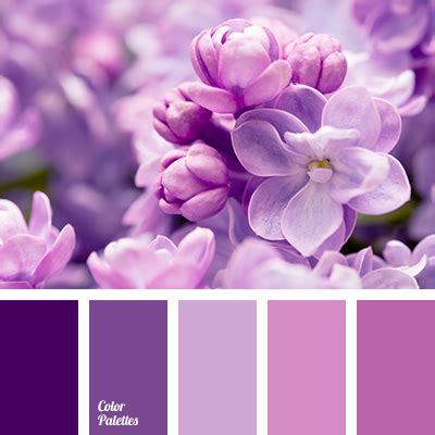 Purple pink color palette design ideas