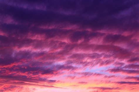 A moody and atmospheric effect created with purple and pink colors