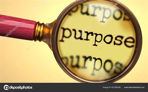 Discovering purpose and passion