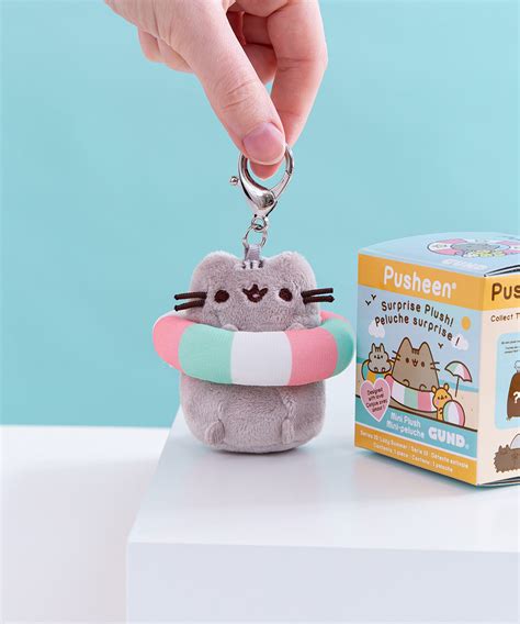 Pusheen surprises