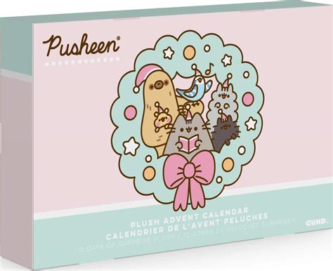 Pusheen treat advent calendar