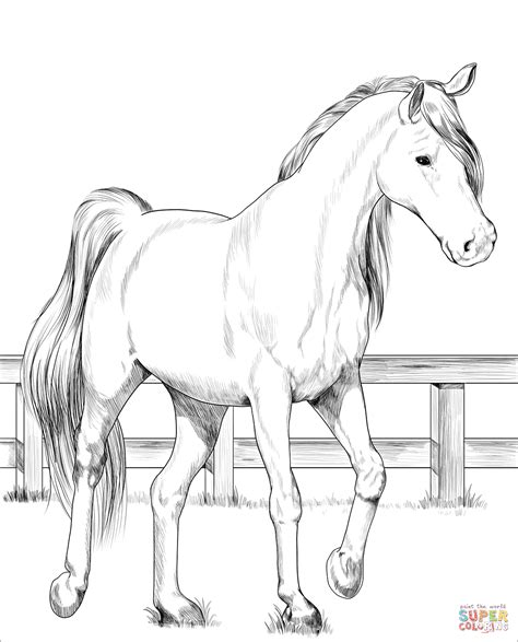 Realistic horse coloring pages