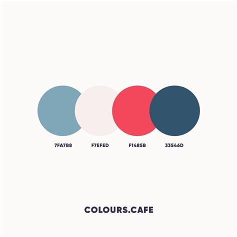 Red and Blue Color Palette Graphic Design