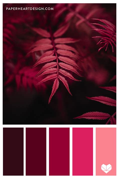 Red and pink color combinations