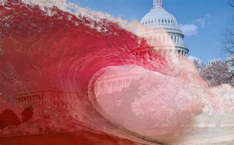 Red Wave Election 2024