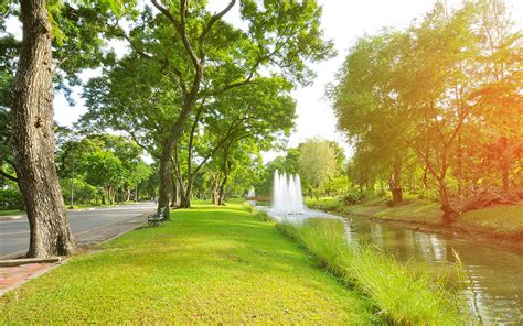 Relaxing green spaces can reduce stress and anxiety