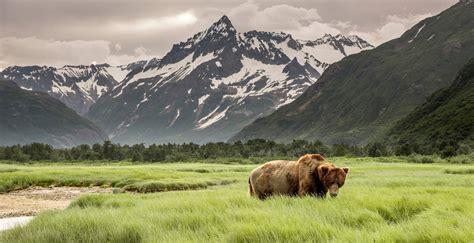 Alaska's remote wilderness areas