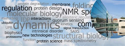 Research Opportunities in Biomolecular Science