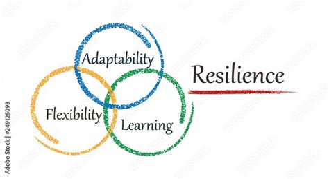 Fostering resilience and adaptability