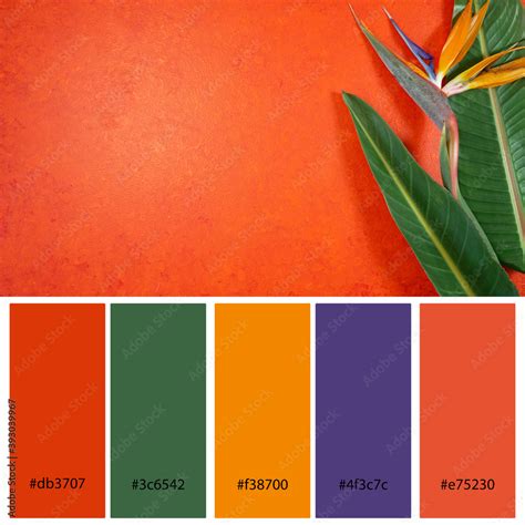 Retro tropical color schemes inspiration