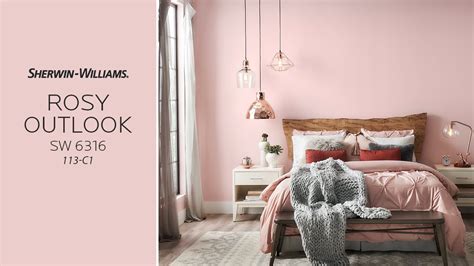 Revere Pewter and Rosy Outlook color combination