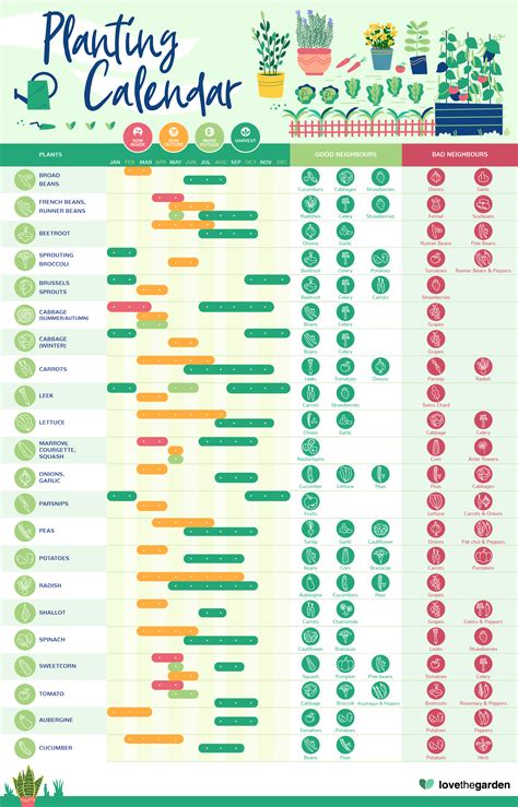 RHS Calendar for Experienced Gardeners