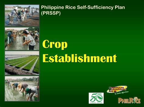 Rice Crop Establishment