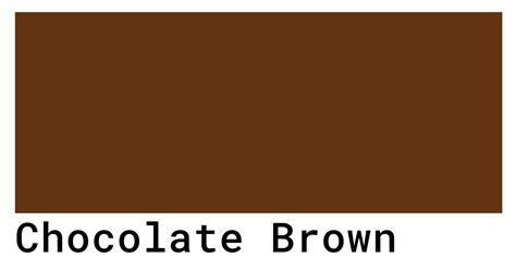 Rich Chocolate Brown Color Palette in Fashion