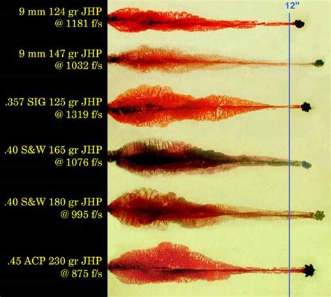 rifle selection factors