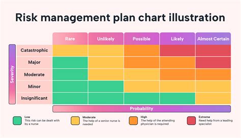 Description of Risk Management Planning