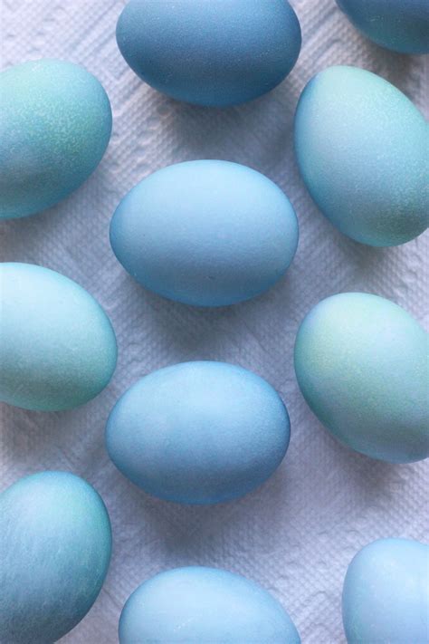 Robin Egg Blue Design Inspiration