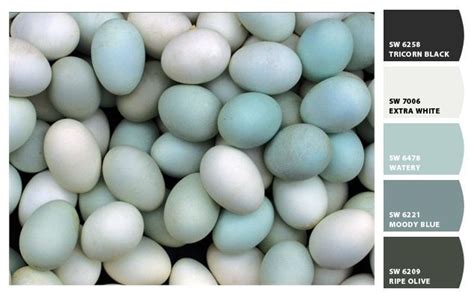 Robin Egg Blue Inspiration Board