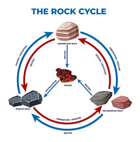 Rock Cycle