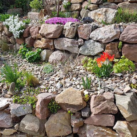 Rock Gardens