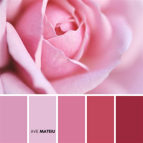 Rose color palette inspiration