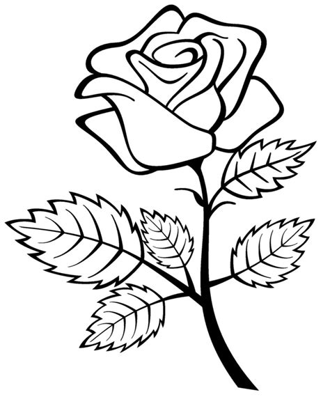 Rose Colouring Page