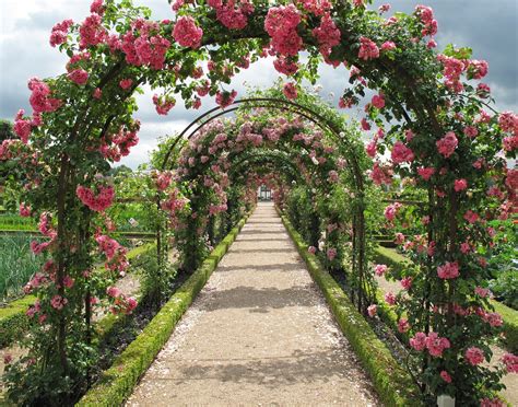 Rose Garden color palette featuring red, pink, and green hues