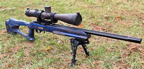 Ruger 10/22 customization