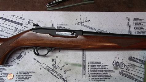 Ruger 10/22 maintenance