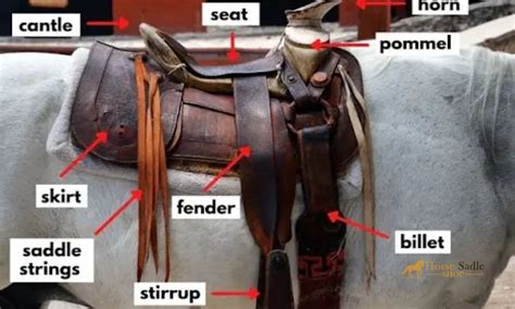 Saddle accessories