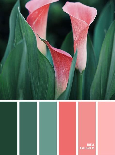 Sage and coral color combination