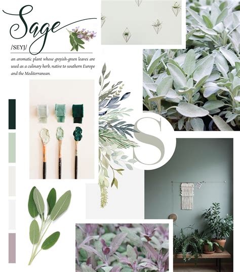 Sage green used in branding and marketing