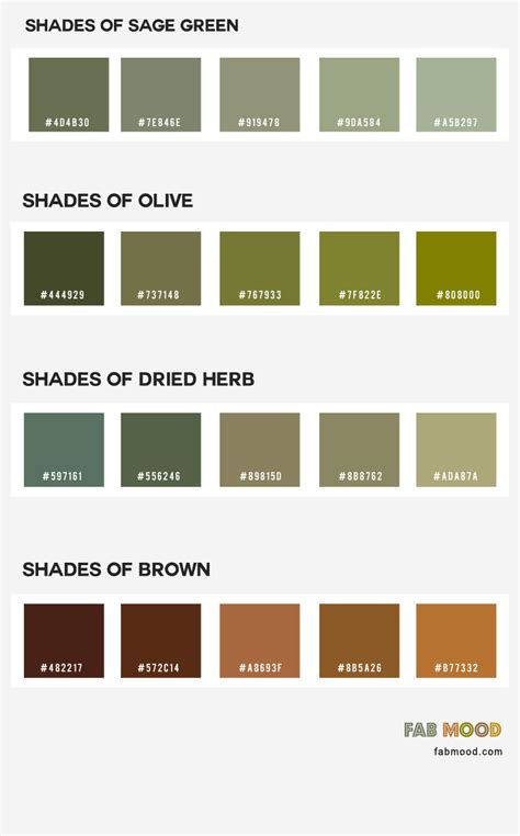 Sage Green Earth Tones Colour Scheme