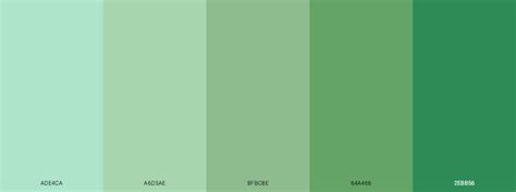 Sage Green Monochromatic Colour Scheme