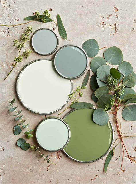 Sage Green Nature Inspired Colour Scheme