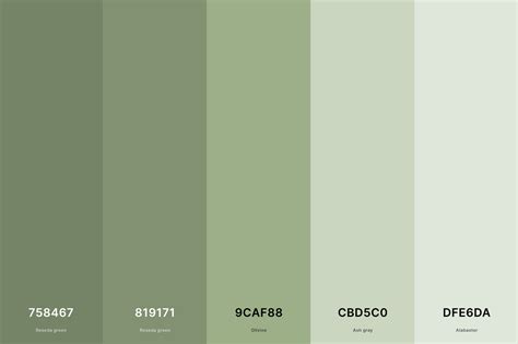 Sage green paired with neutral colors