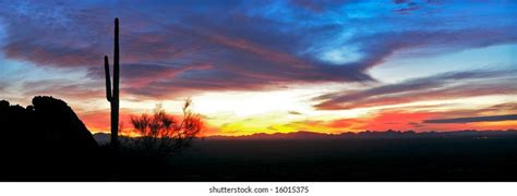 Saguaro Red Color Inspiration