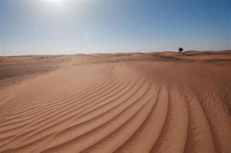 Benjamin Moore's Sandy Dunes (2154-40)