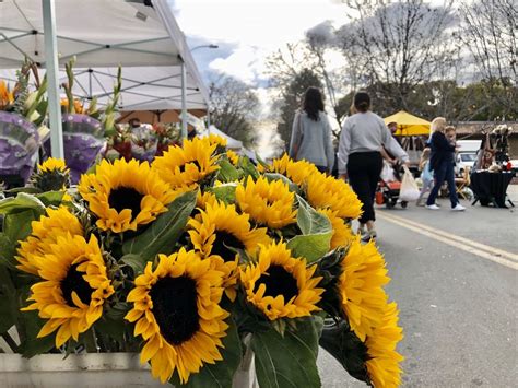 Description of Farmers' Market Image 3