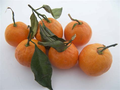 Satsuma Mandarins